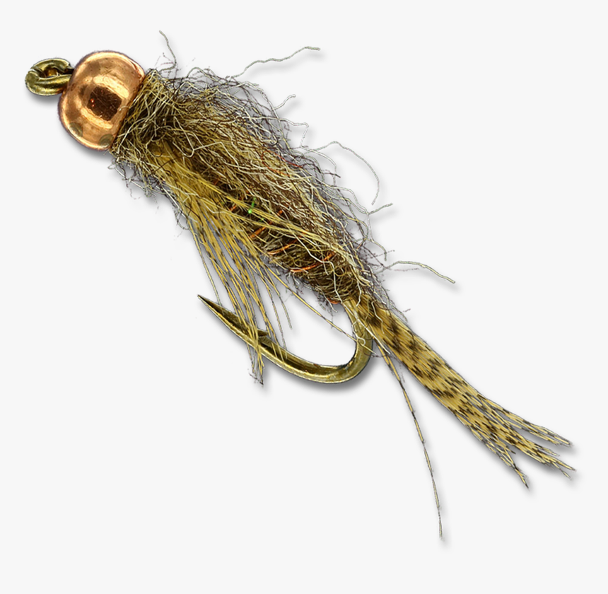 Copper Bead Birds Nest - Invertebrate, HD Png Download