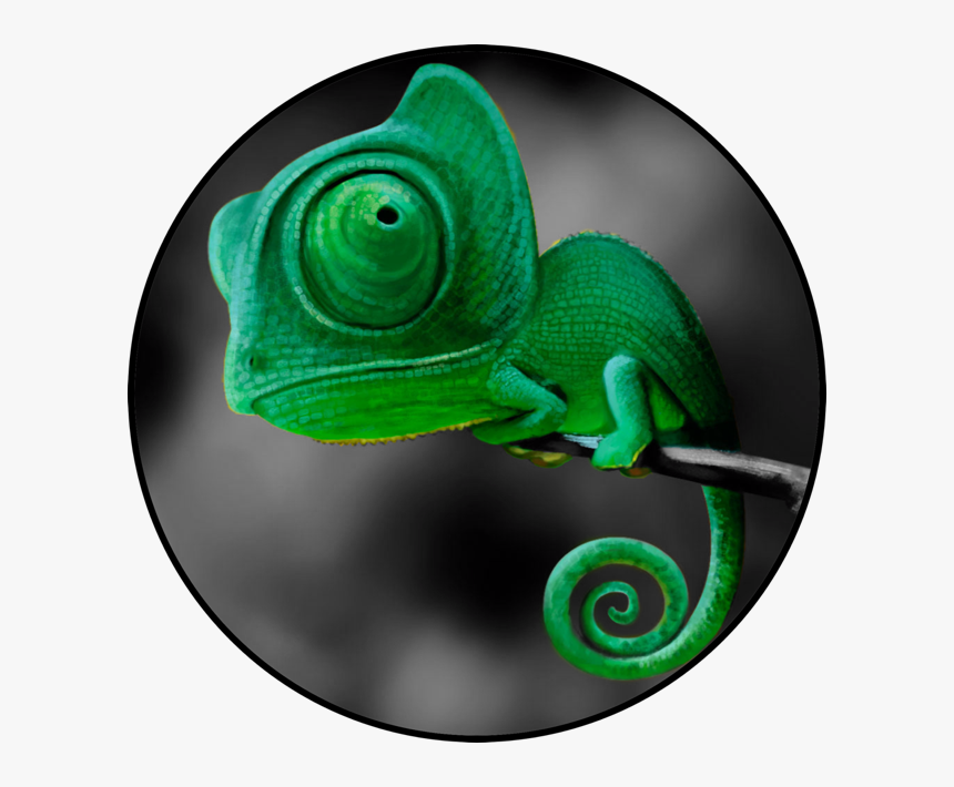 Snake, HD Png Download