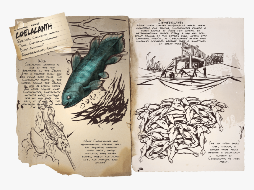 Book Ark Survival Evolved All Dinos, HD Png Download