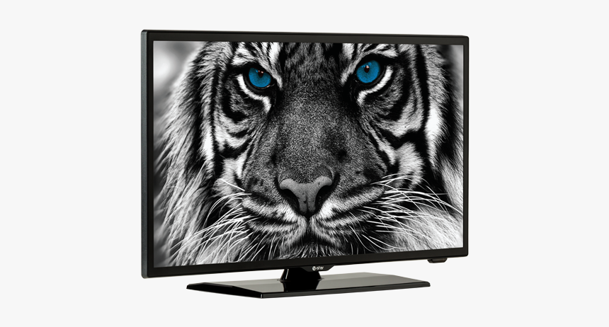 E Star Tv 32, HD Png Download