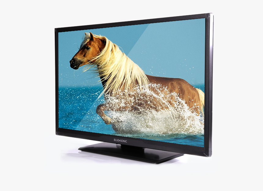 Experience The New Led - Hd Wallpaper Of Animals, HD Png Download