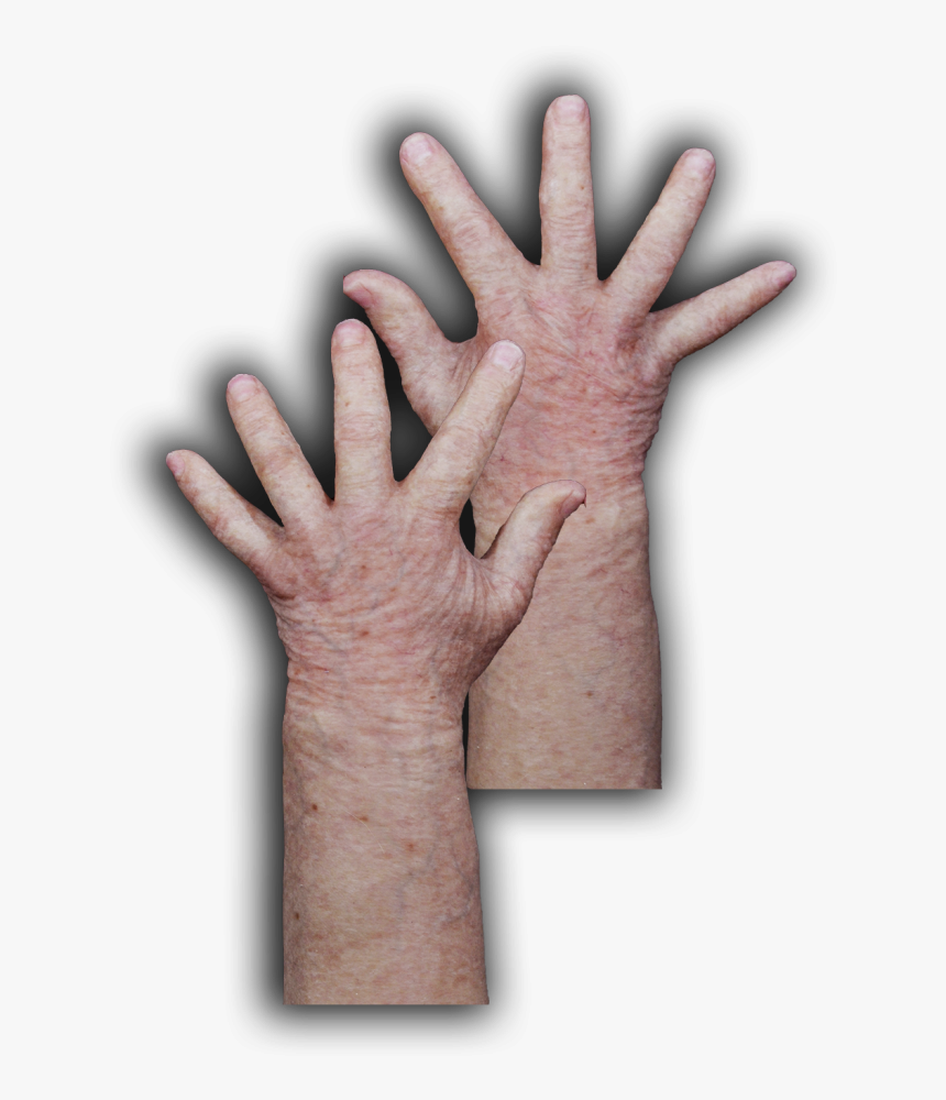 Sign, HD Png Download