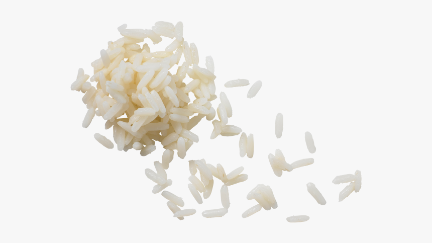 Bead, HD Png Download