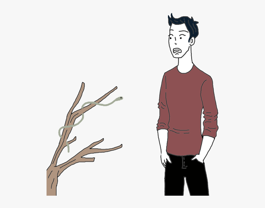 Green Snake - Illustration, HD Png Download