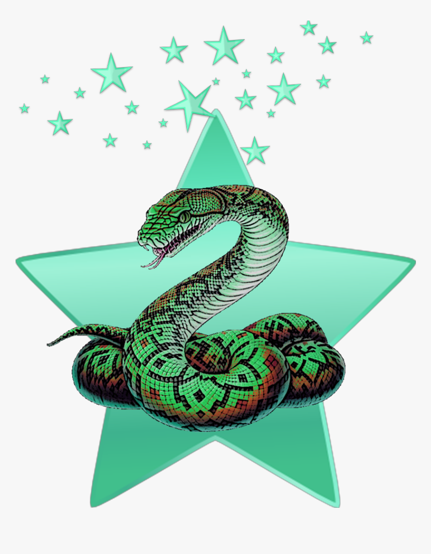 #mq #green #snake #stars #star #animal - Snake Png, Transparent Png