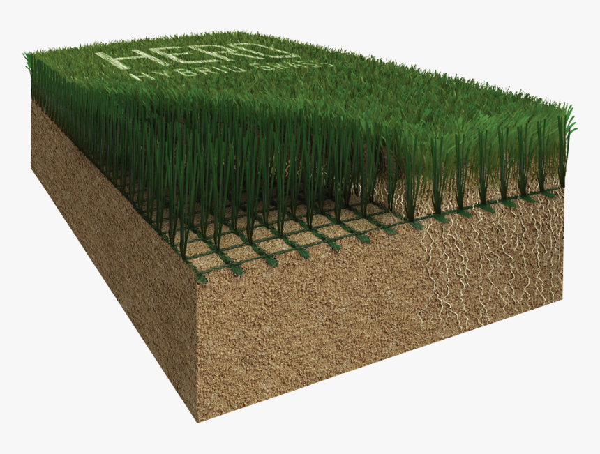 Hybrid Grass, HD Png Download