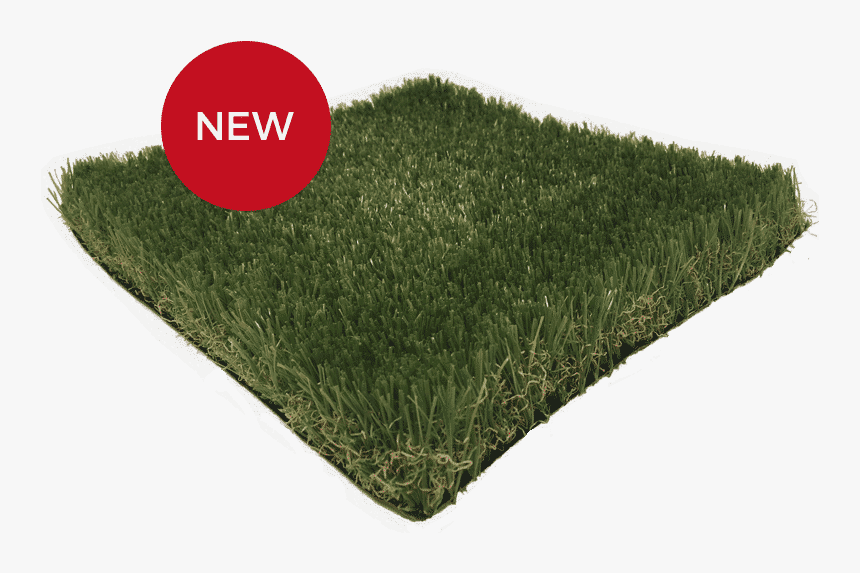 Carpet, HD Png Download