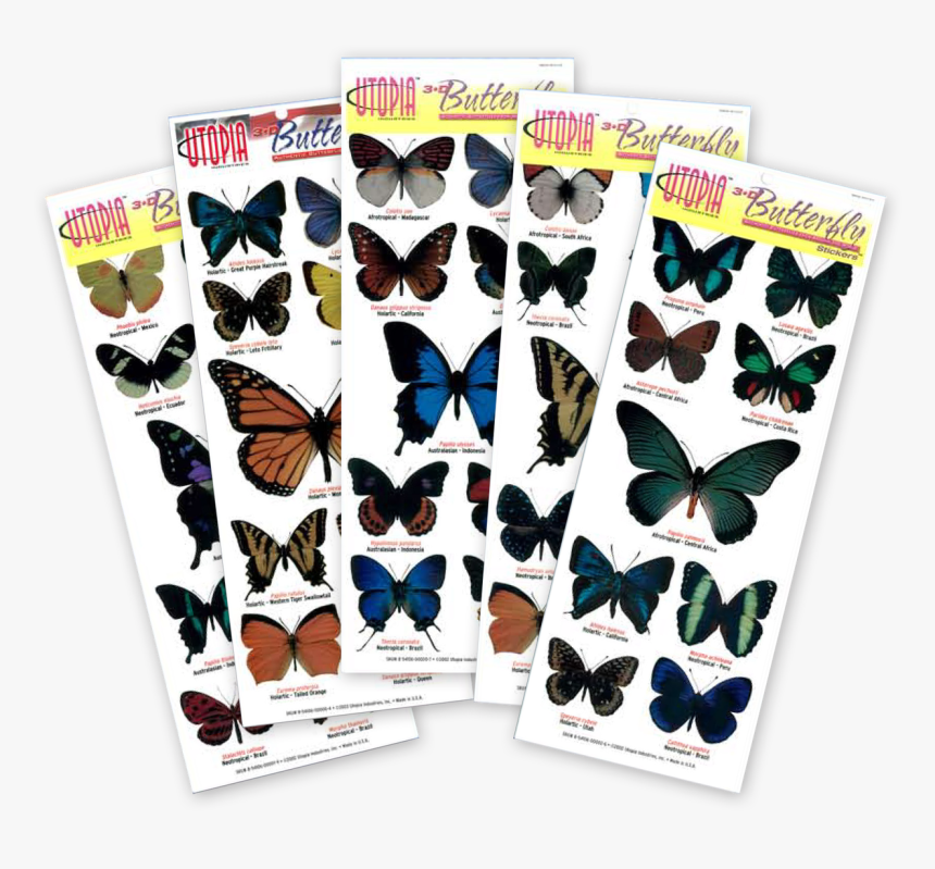 Papilio Machaon, HD Png Download