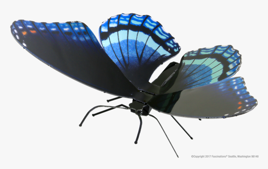 Limenitis Arthemis, HD Png Download