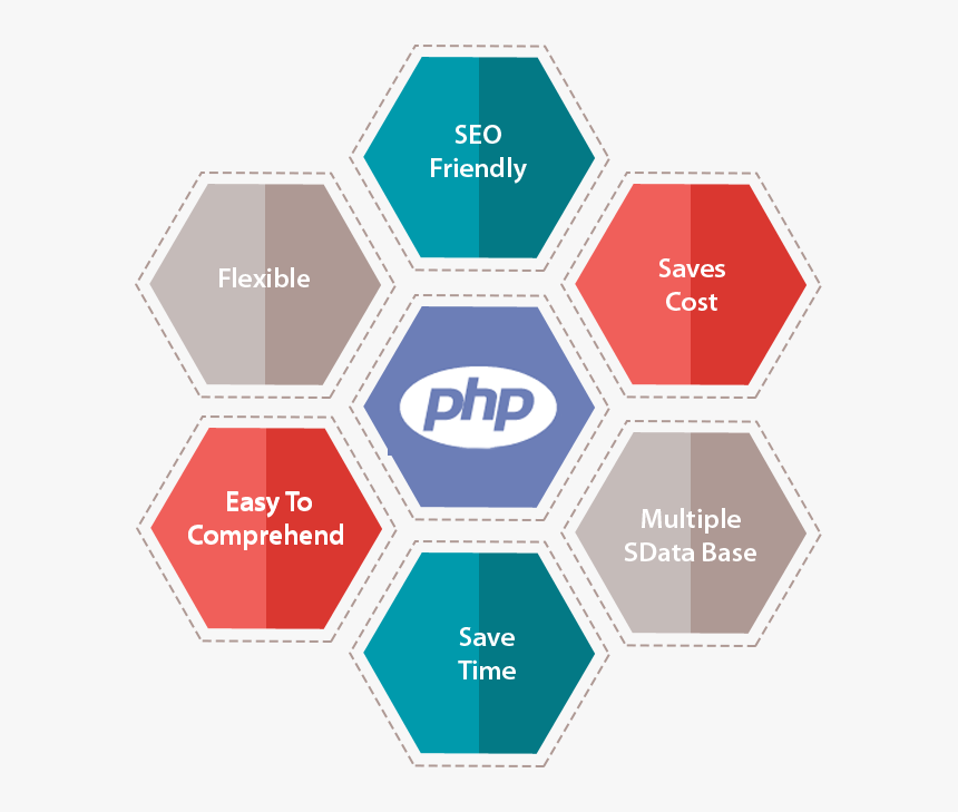 Php Development - Fruits And Vegetables Portrait, HD Png Download