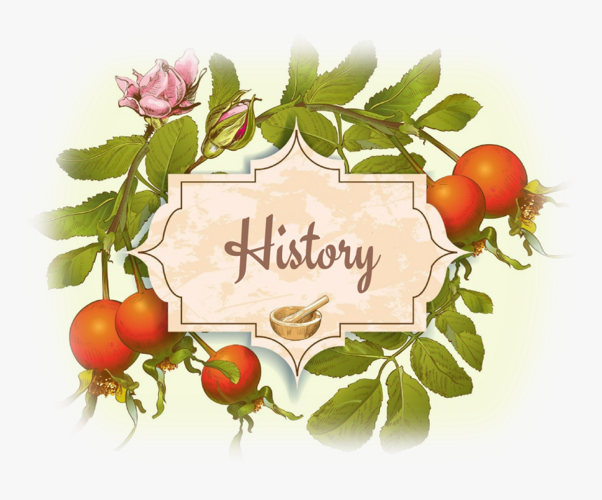 Rosehip Vintage, HD Png Download