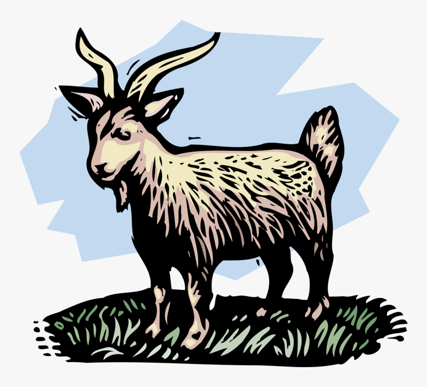 Vector Illustration Of Farm Scene Livestock Billy Goat - Animals In Proverbs 30, HD Png Download