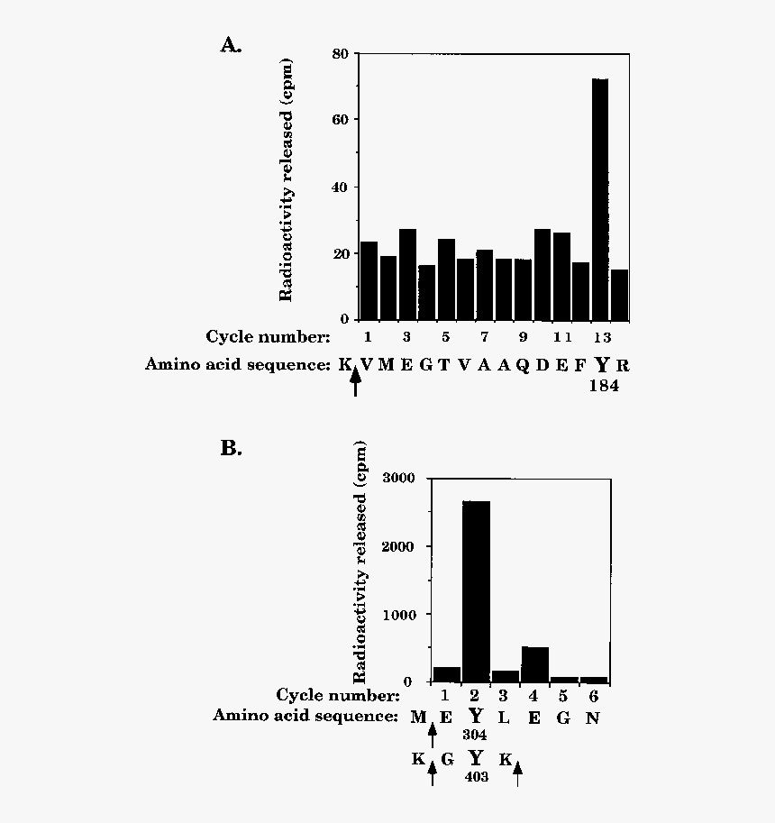 Diagram, HD Png Download