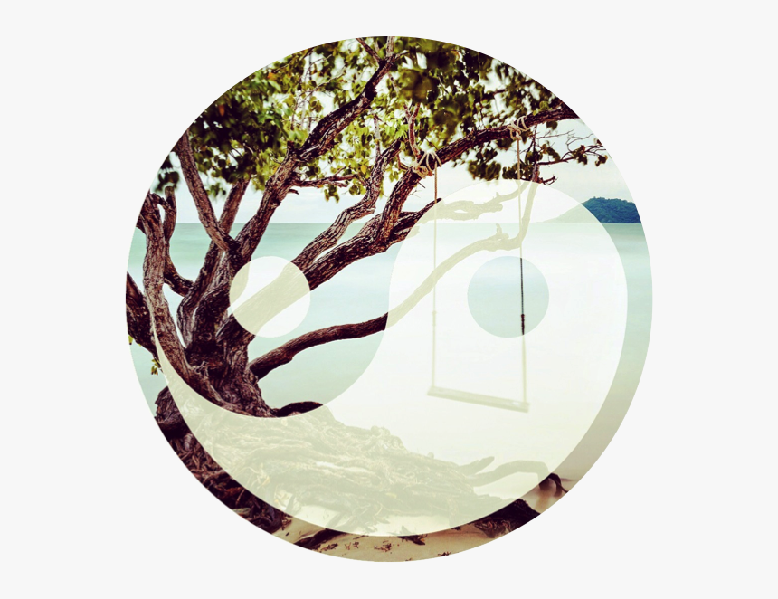 Circle, HD Png Download