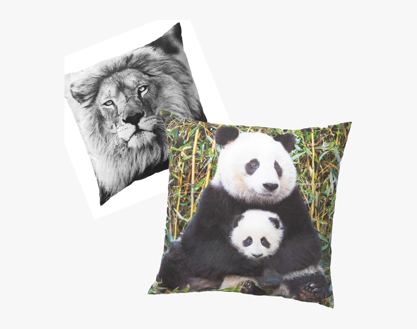 Panda Puzzle, HD Png Download