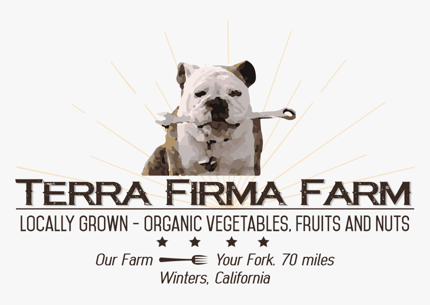 Poster, HD Png Download