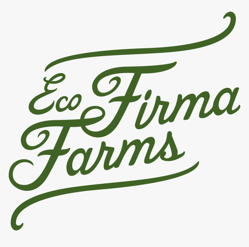 Calligraphy, HD Png Download