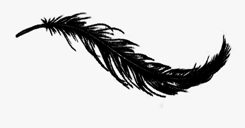 Songwriting Escape Feather Black - Transparent Background Black Feather Png, Png Download
