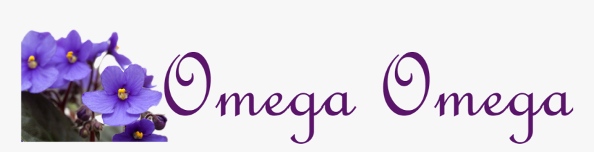 Picture - Delta Sigma Theta Omega Omega, HD Png Download