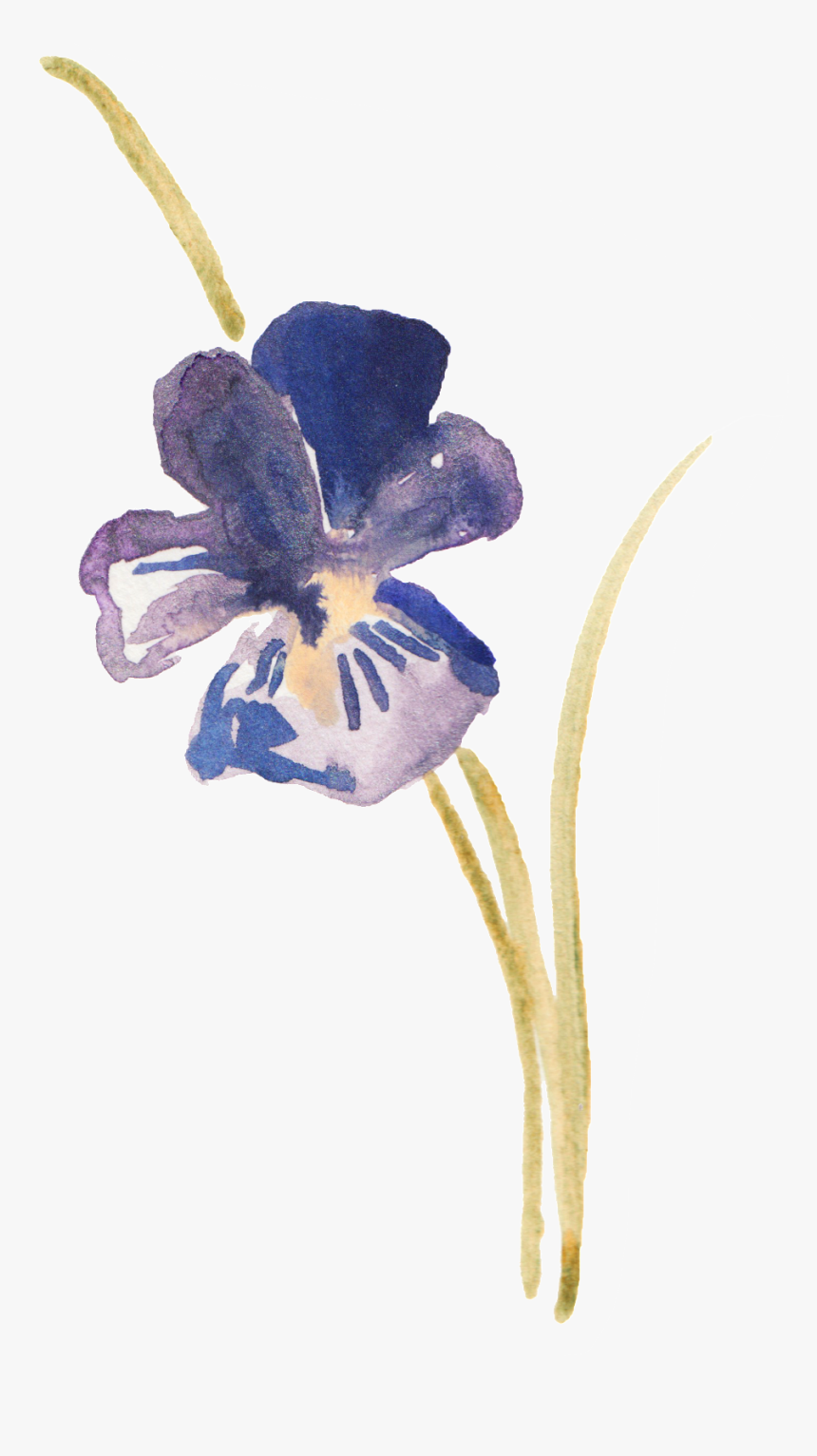 Hand Painted Platycodon Ink Painting Decorative - Watercolor Violets, HD Png Download