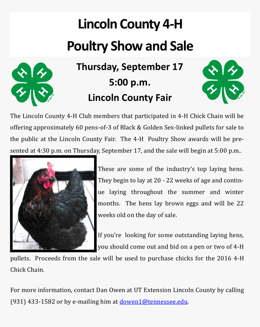 4 H Clover, HD Png Download