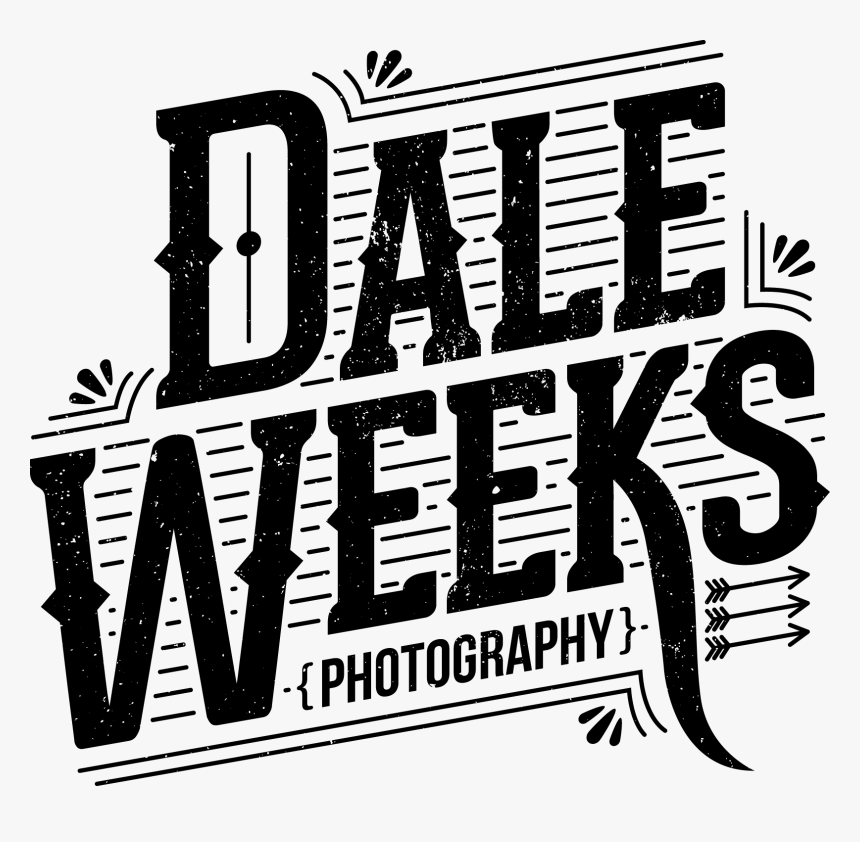 Alternative Wedding Photographer - Poster, HD Png Download