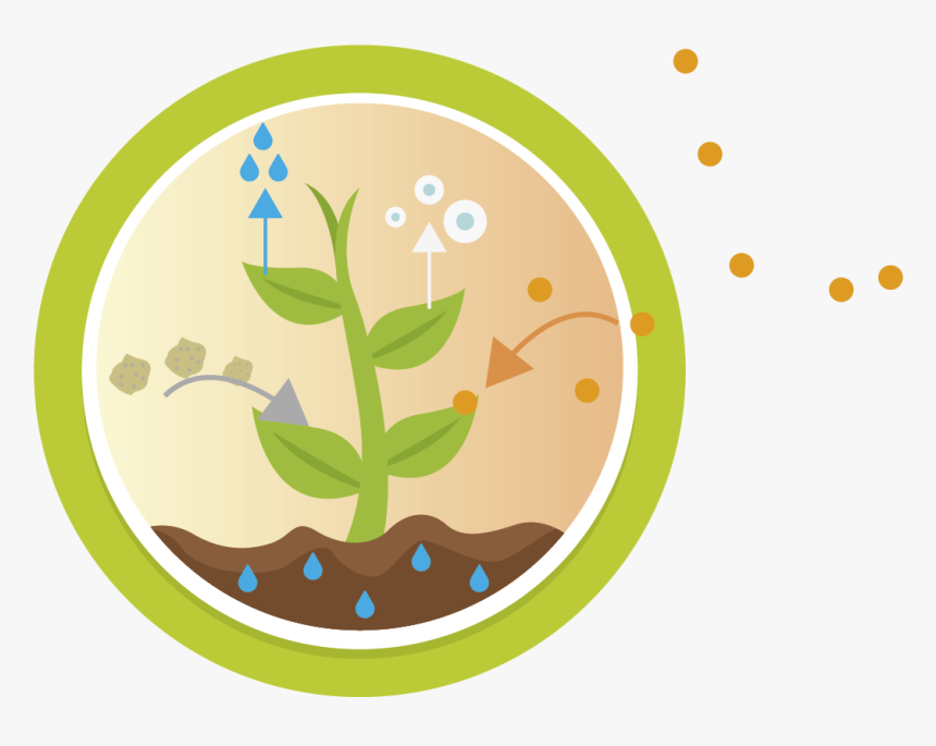 Illustration, HD Png Download