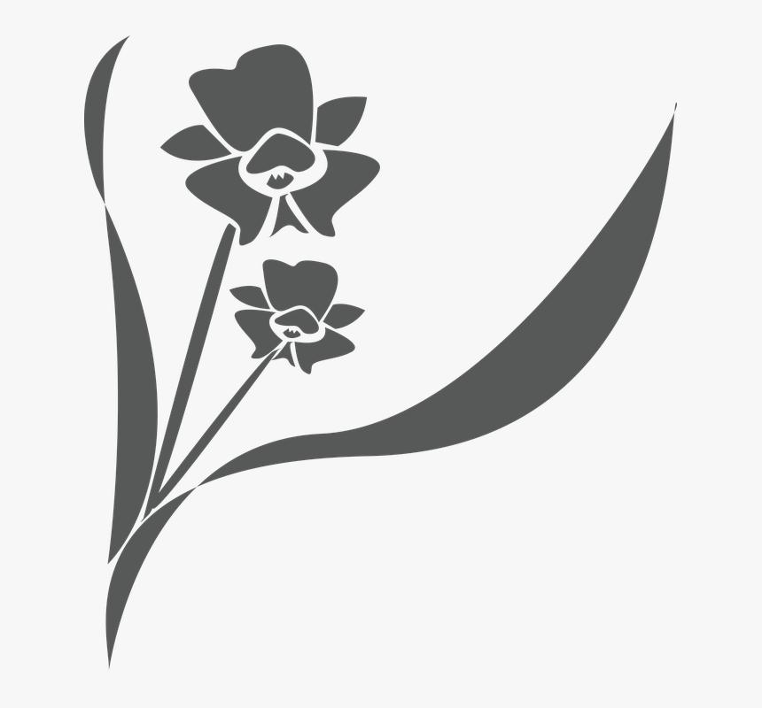 Transparent Orquidea Png - Orchid Svg, Png Download