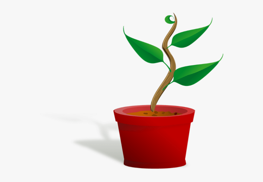 Plant Clip Art, HD Png Download