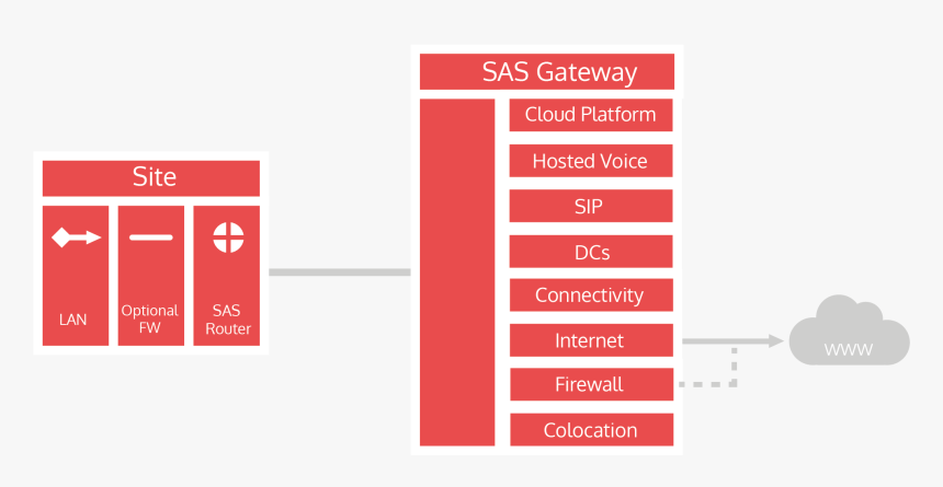Nf Kb Rt Pcr, HD Png Download