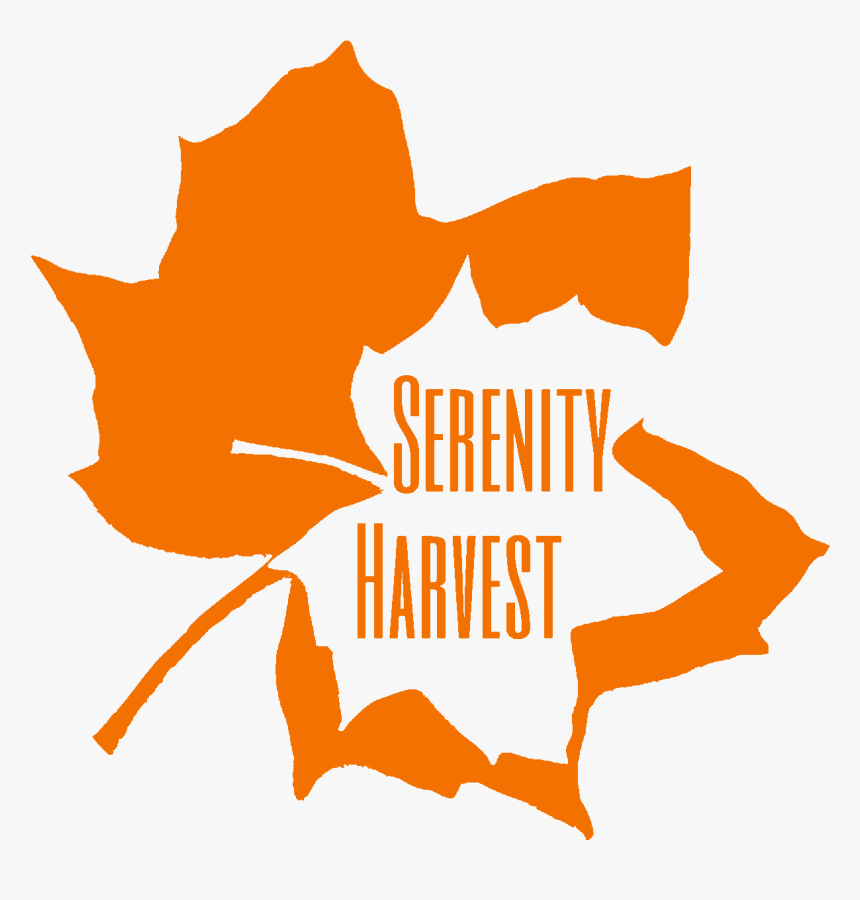 General Information - Graphic Design, HD Png Download