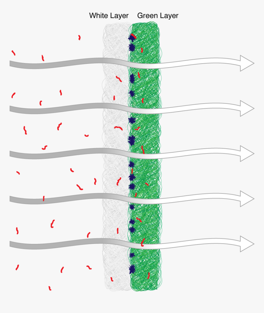 Diagram, HD Png Download