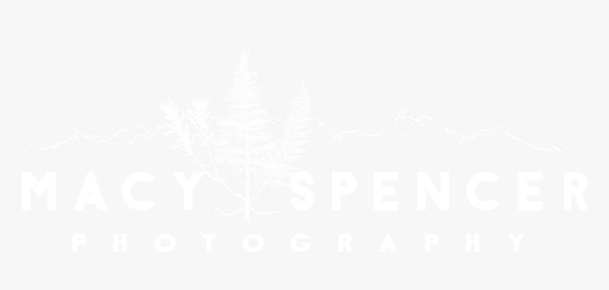 Monochrome, HD Png Download