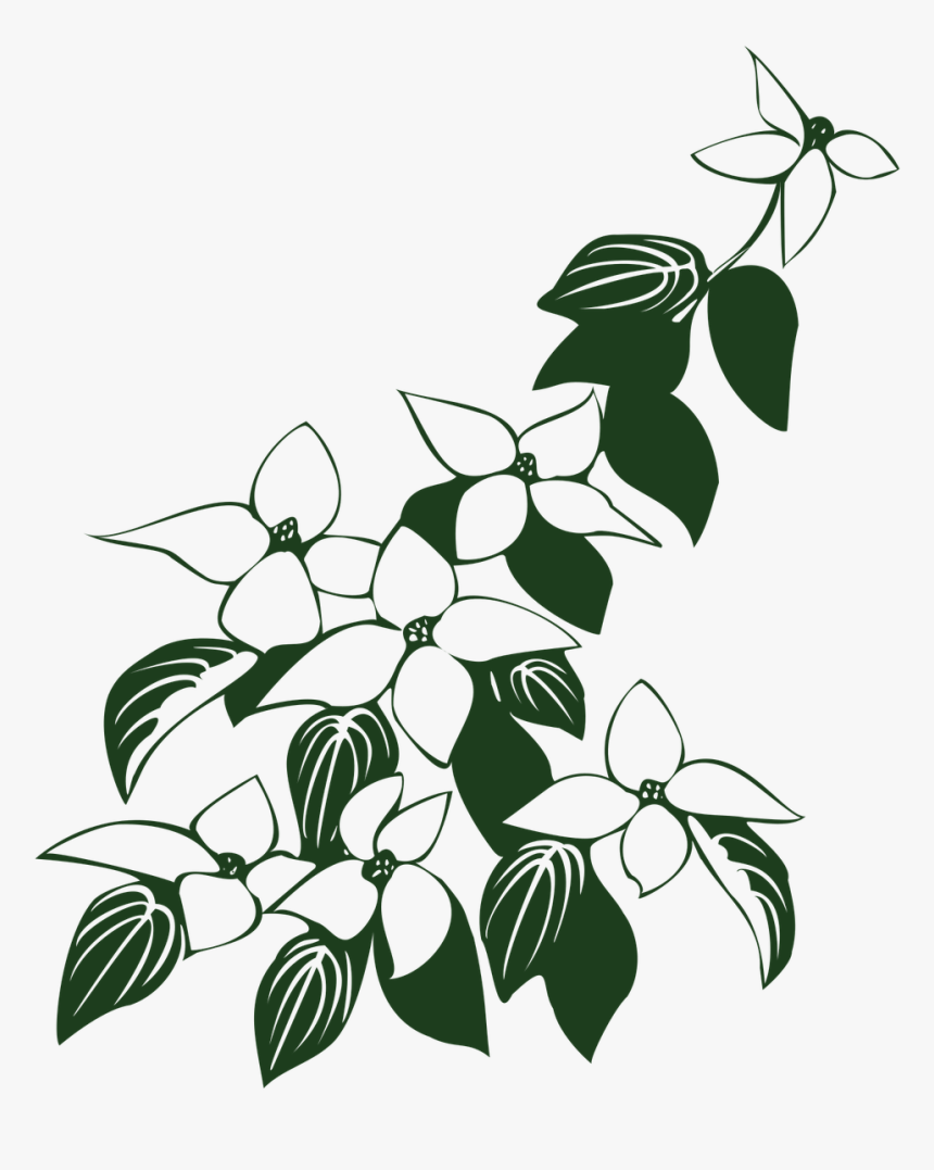 Flowers And Leaf Art Clipart, HD Png Download