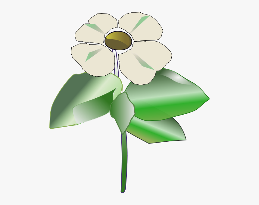 Pacific Dogwood Clipart, HD Png Download