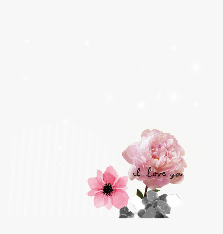Flowering Dogwood , Png Download - Peony Flower, Transparent Png