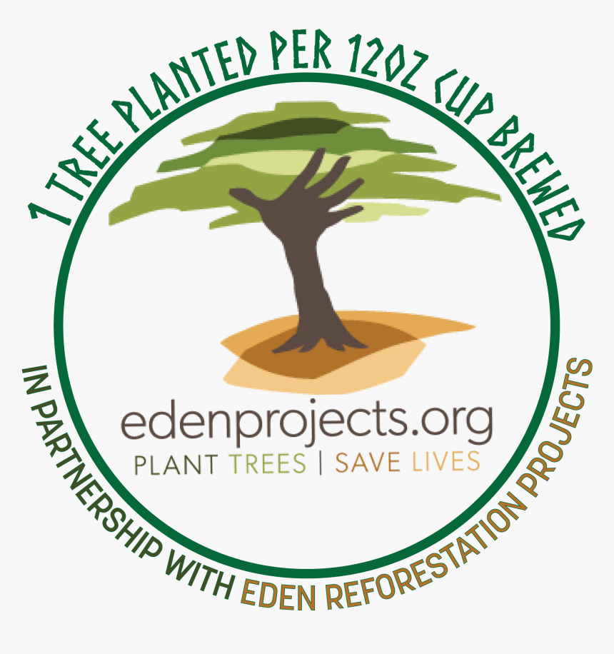 Transparent Dogwood Tree Png - Tree, Png Download