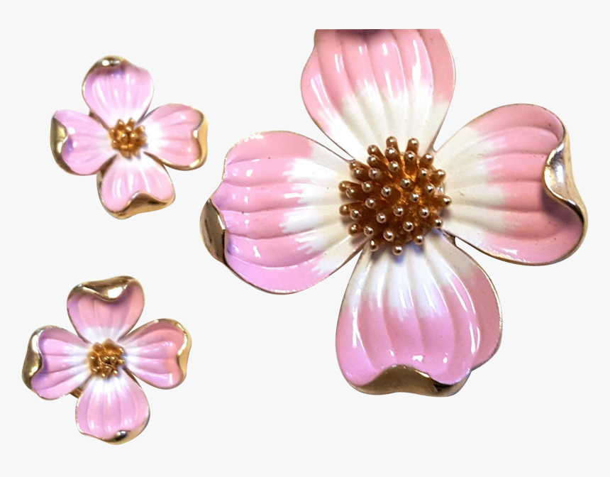 Dogwood Vector Watercolor - Artificial Flower, HD Png Download