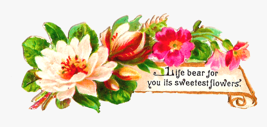 August Roses Watercolor Clip Art, HD Png Download