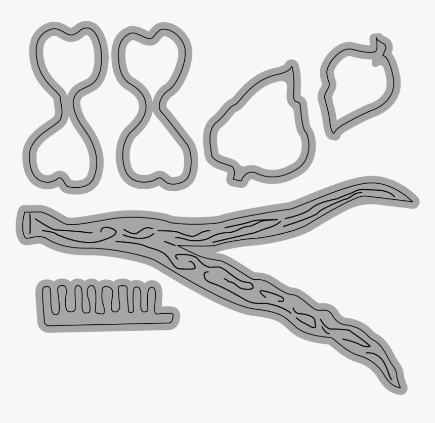 Garden Notes - Dogwood - Wood, HD Png Download