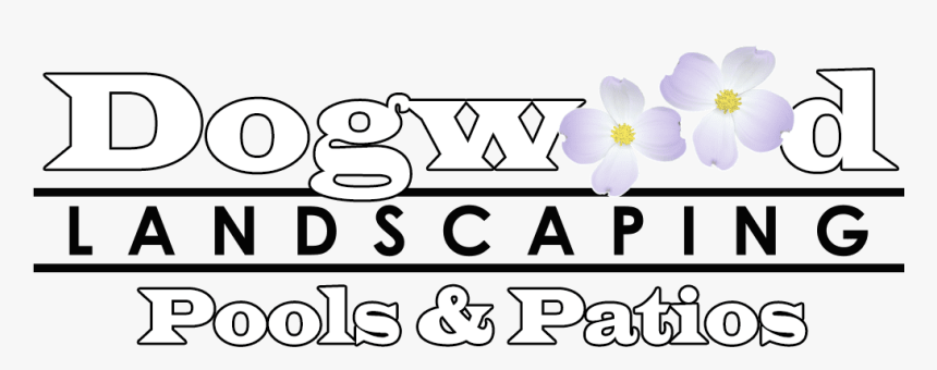 Image - Crocus, HD Png Download