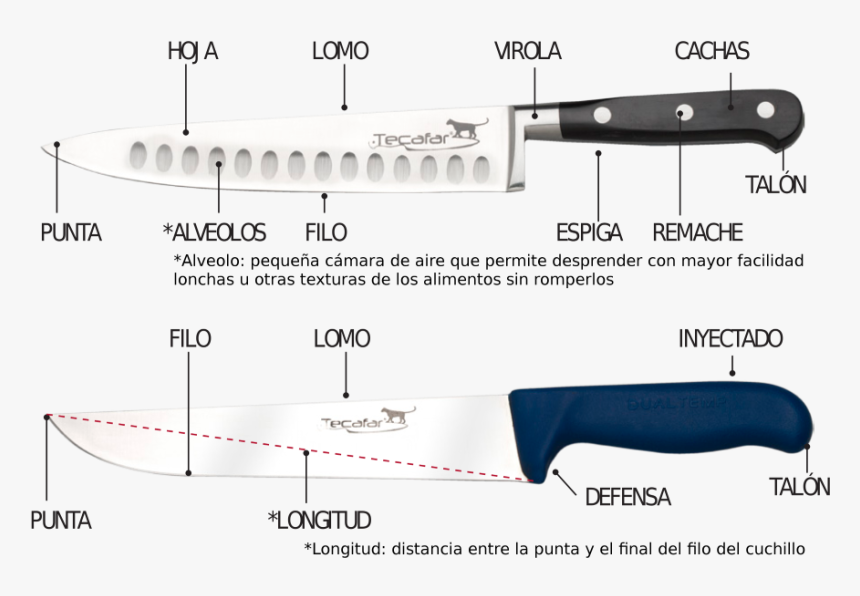 Partes De Un Cuchillo - Bowie Knife, HD Png Download