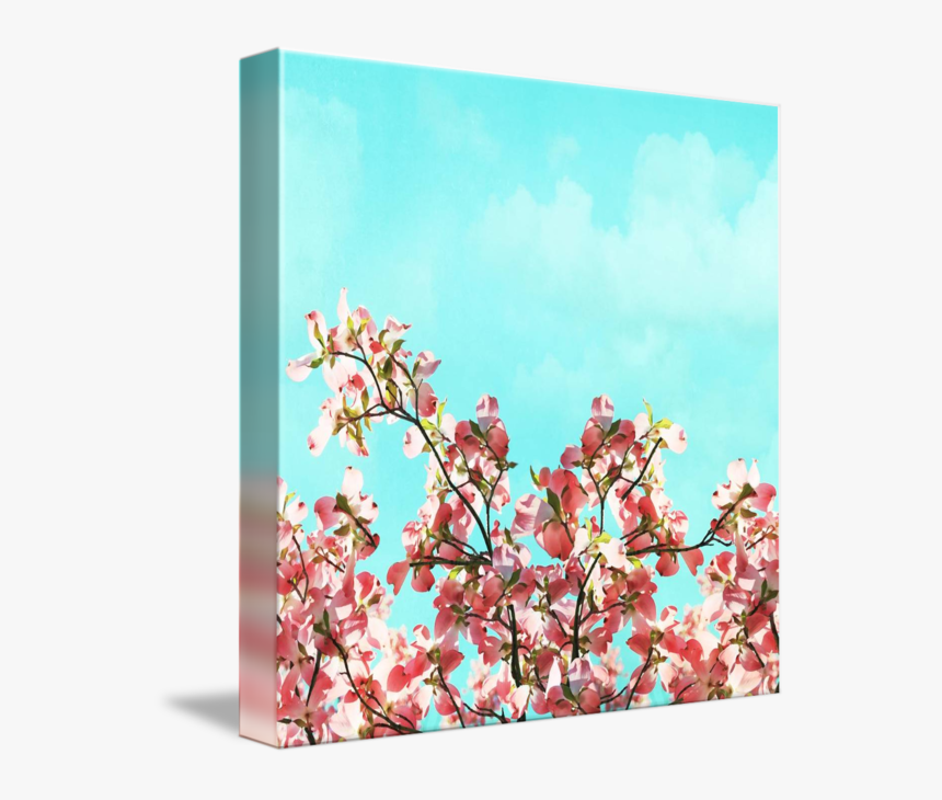 Pink Dogwood Canvas, HD Png Download