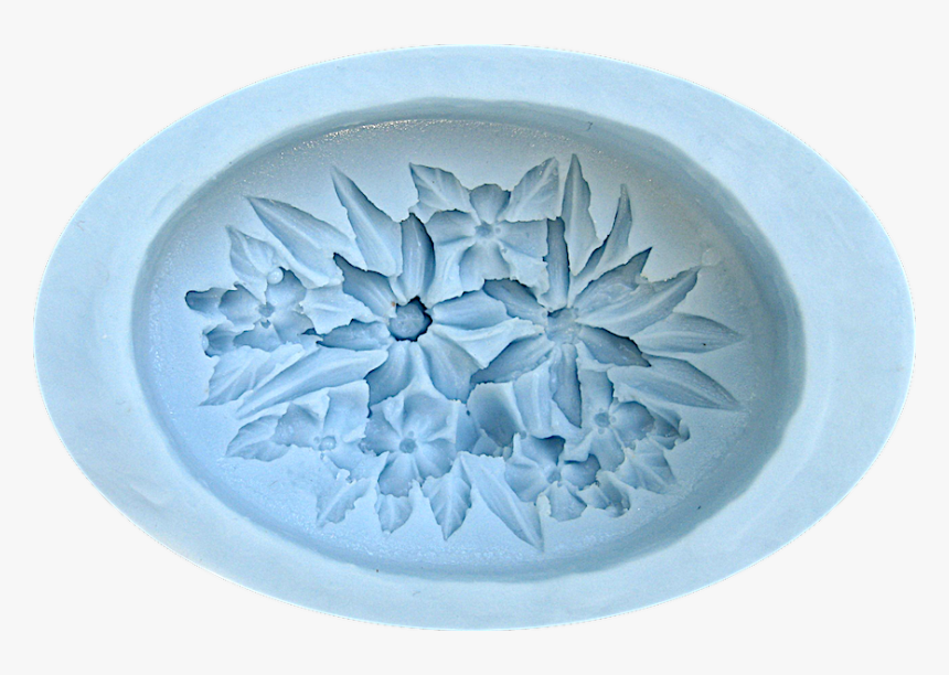 Echeveria, HD Png Download