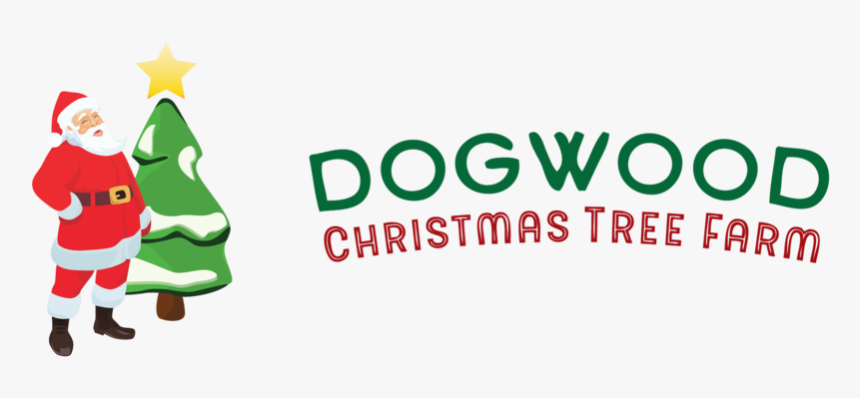 Dogwood Png, Transparent Png