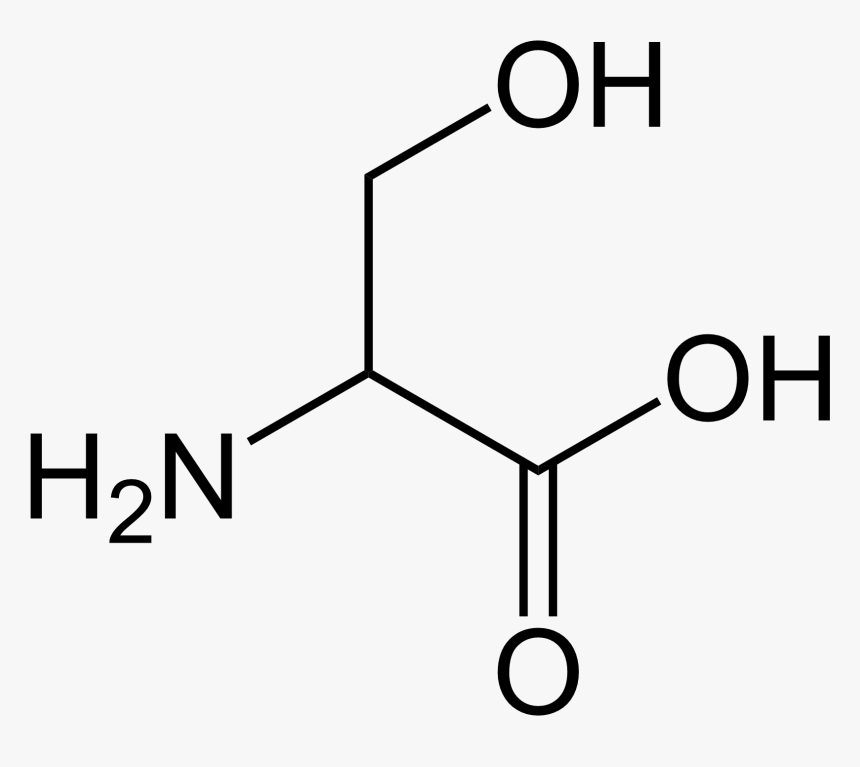 Serine Simple - Serine Amino Acid Structure, HD Png Download