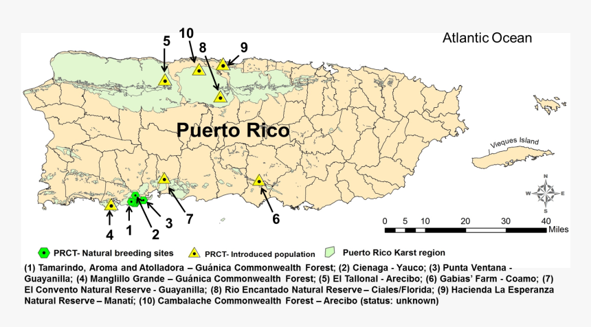 Puerto Rico En Blanco , Png Download - Puerto Rico En Blanco, Transparent Png