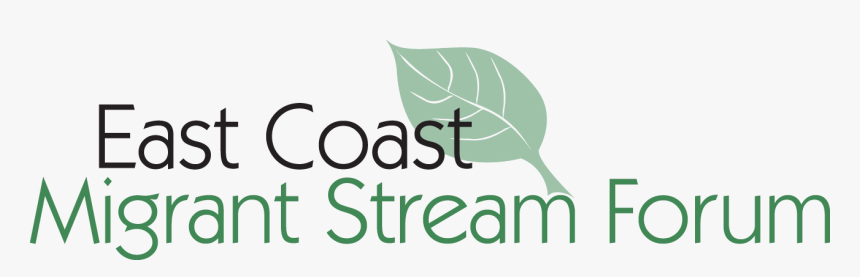 Calligraphy, HD Png Download