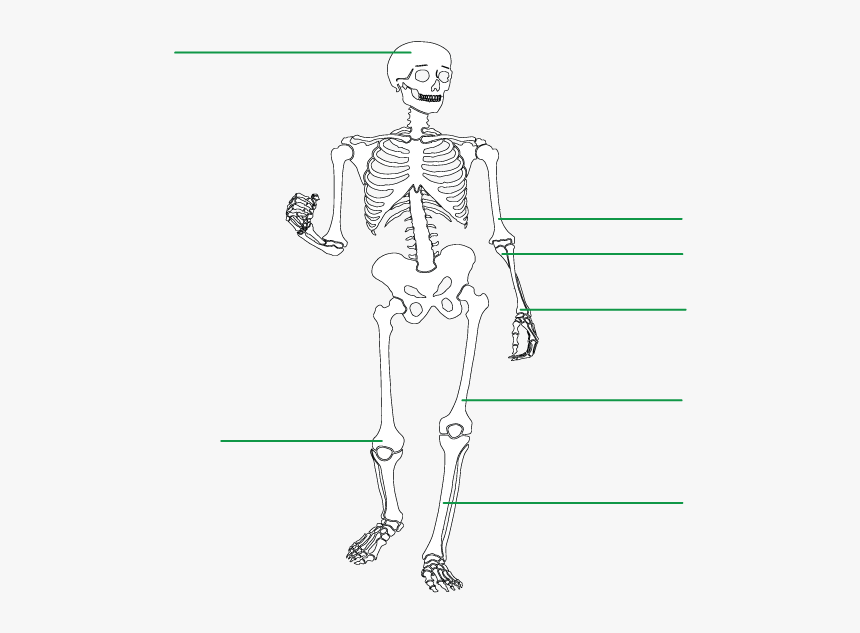 Diagram, HD Png Download