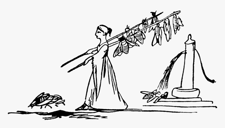 Woman Fishing Cartoon, HD Png Download